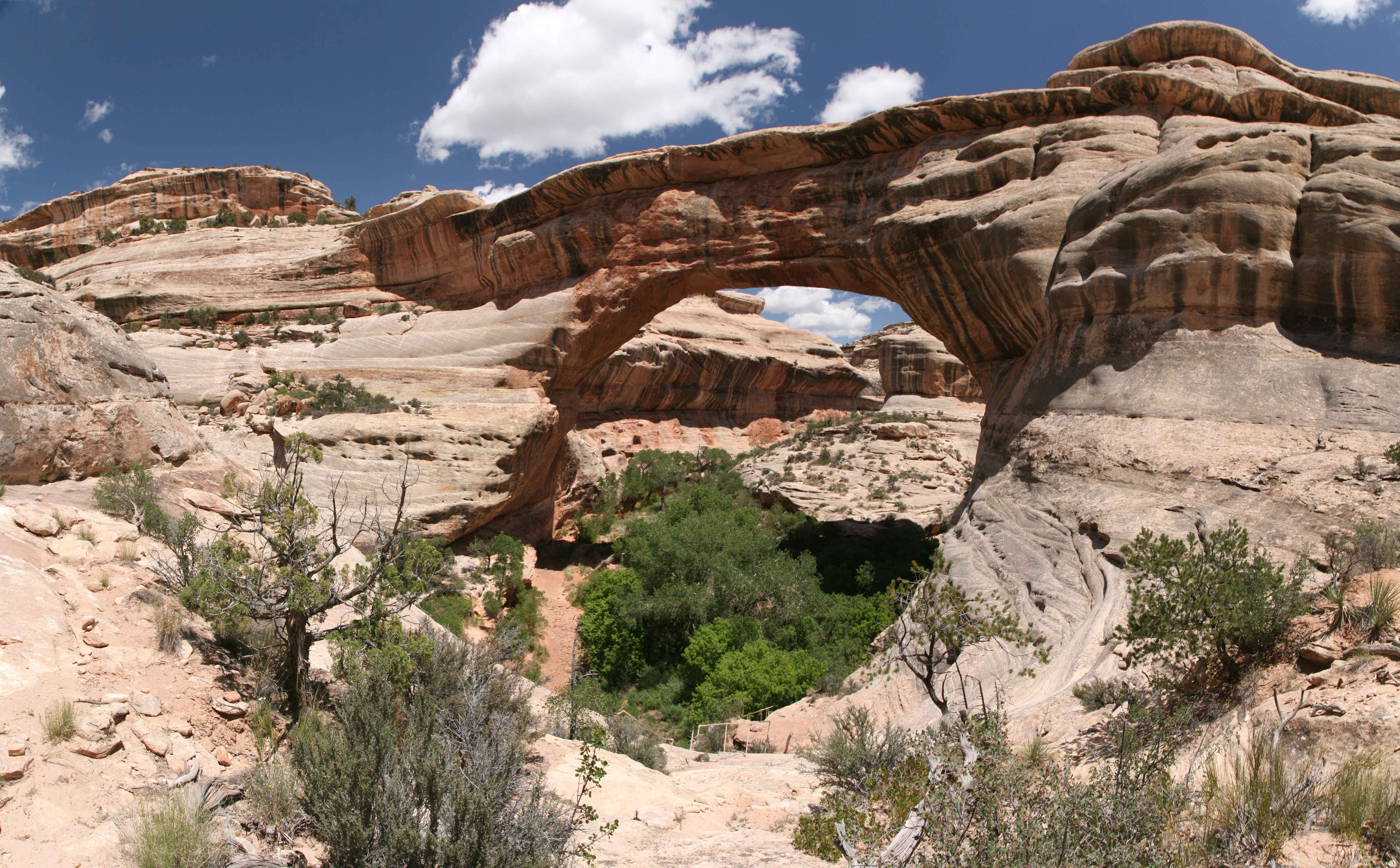 Natural Bridges NM
